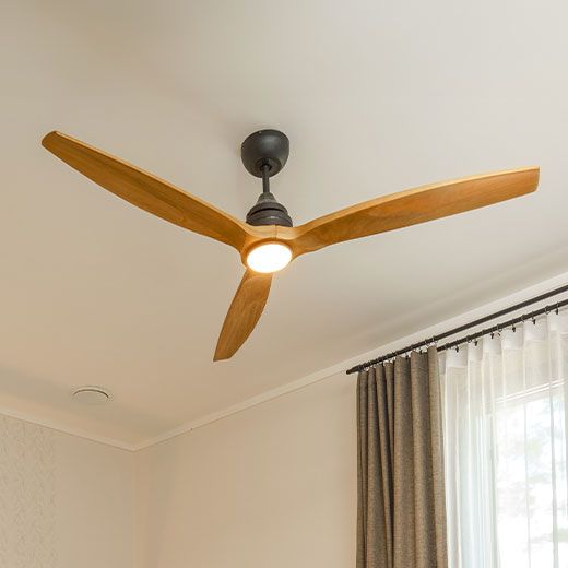 Holderness Ceiling Fan Electricians