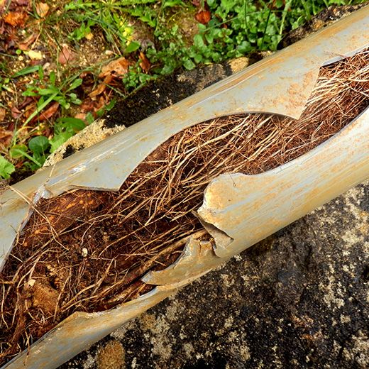 Same Day Drain Sewer & Rooter Pros Across Holderness