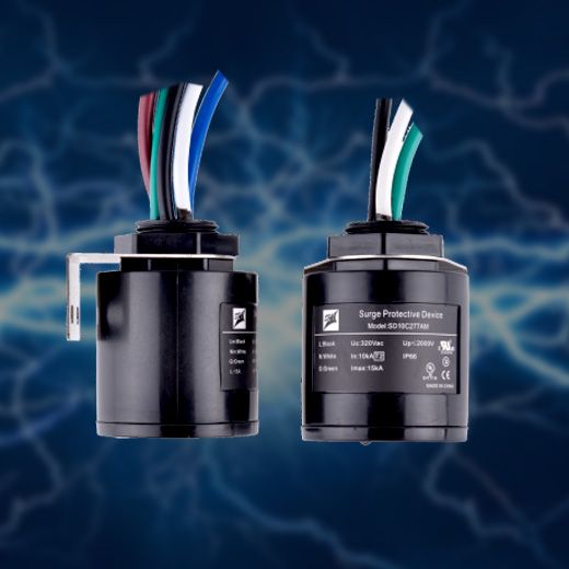Whole House Surge Protection In Holderness